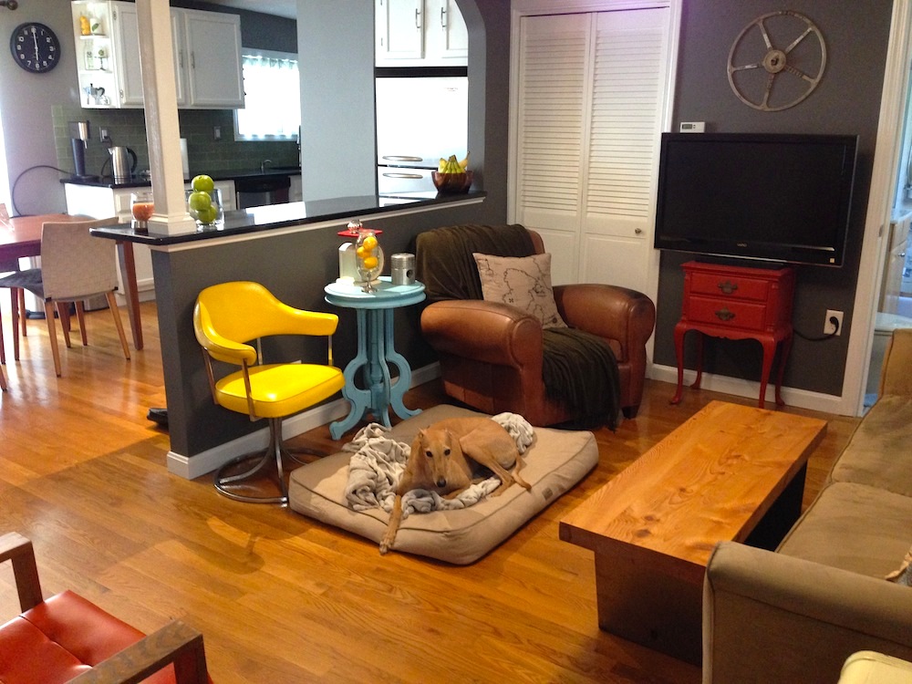 Frugal Hound guarding the living room, where the TV resides